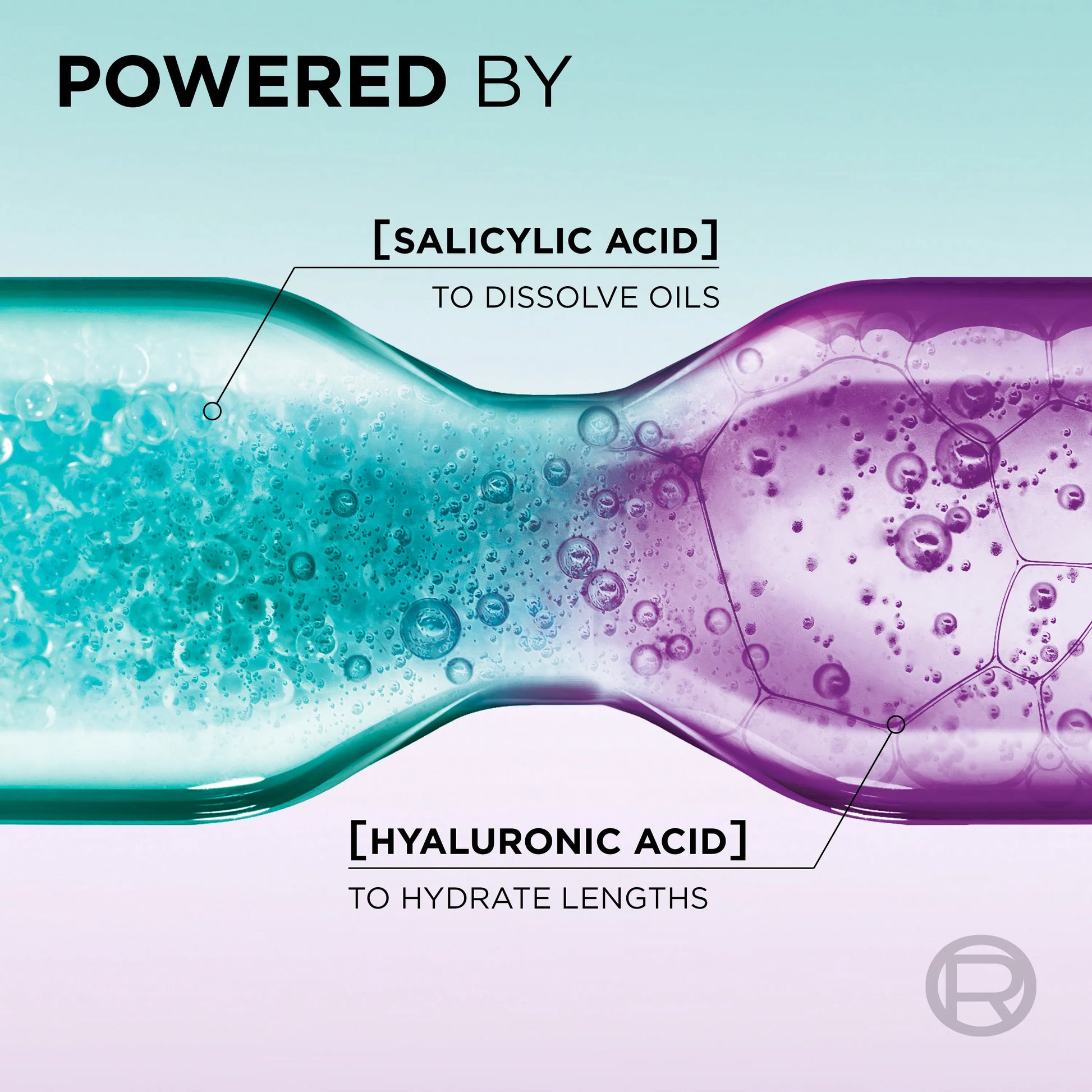 LOreal Paris Elvive Hyaluron Pure Shampoo - 360ml